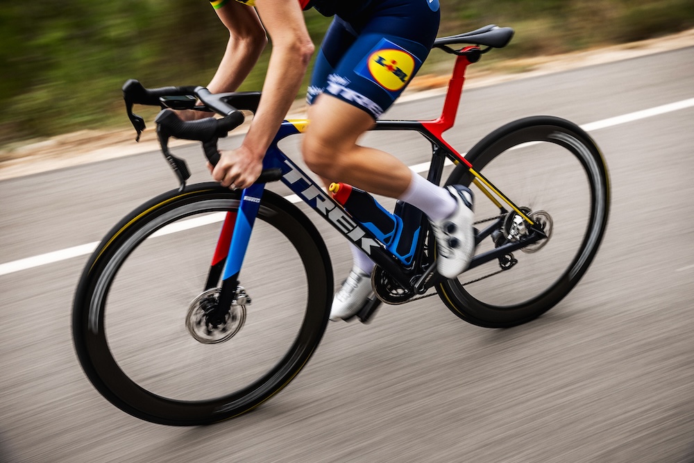 23-Madone-RD-Ross-Bell-Photo-Web-106 copy.jpg